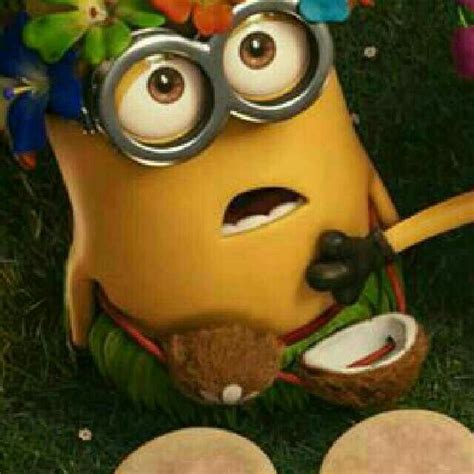 Minions 2 Minions Cute Minions Minions Funny