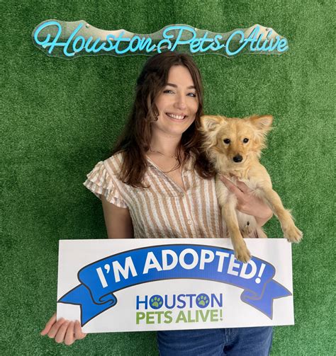 craigslist houston tx pets for sale 4