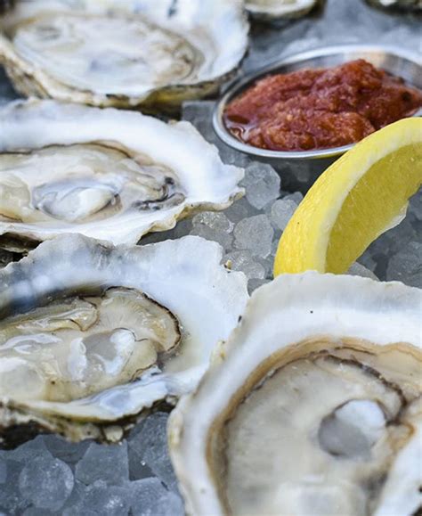 The Walrus Oyster & Ale House | VisitMaryland.org