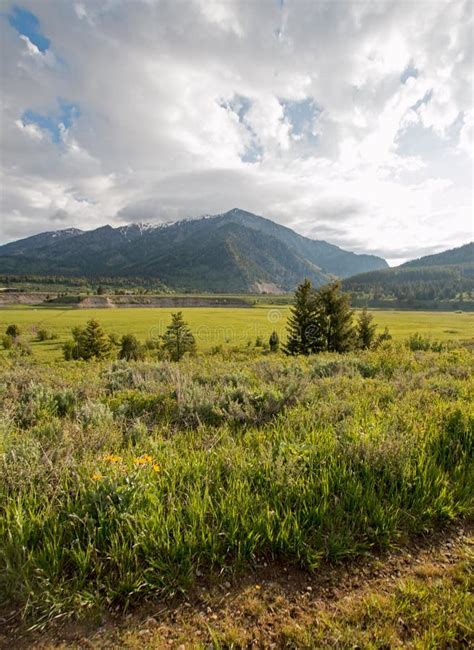 Mountain Meadows Under Morning Cumulus Morning Clouds In The Central