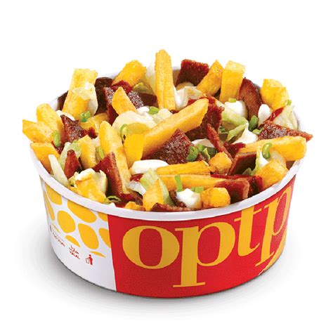 Loaded Doner Fries Optp