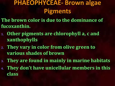 Algae General Characters And Classification PPT