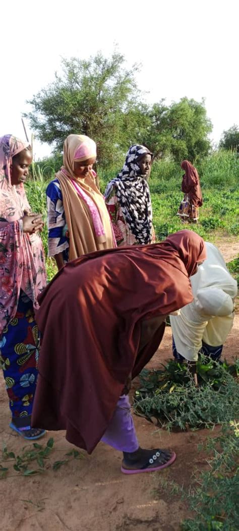 Formation De Jeunes Femmes Dans Les Champs Coles Agropastorales Au