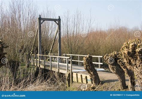 Wooden Drawbridge in Nature with Willows Stock Image - Image of woodw ...