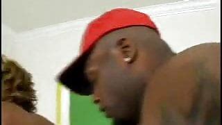 Alana Lee 2022 Free Porn Star Videos XHamster