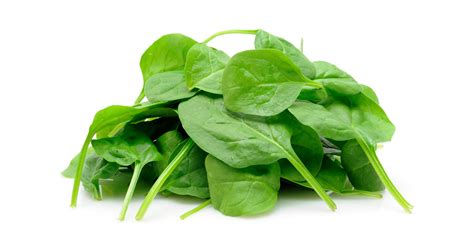 Spinach Or Romaine Siowfa16 Science In Our World Certainty And