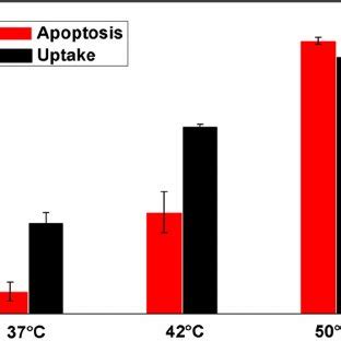 Qualitative And Quantitative Analysis Of Cellular Uptake At Various