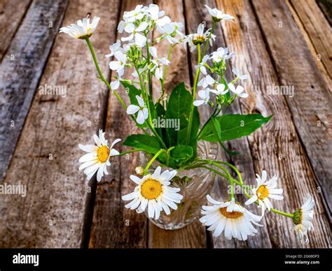 Bouquet Of White Daisies Flowers In A Glass Vase On A Wooden Table