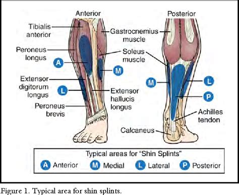 Anterior Tibial Stress