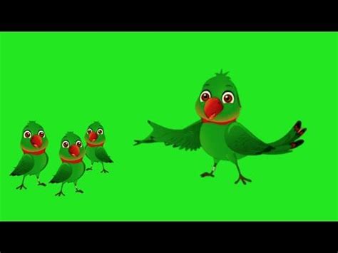 Free No Copyright Green Screen Cartoon Bird YouTube Parrot Cartoon