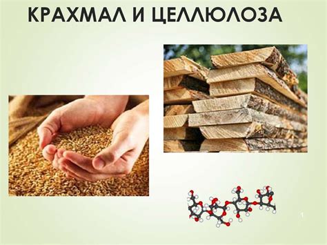 Крахмал и целлюлоза - презентация онлайн