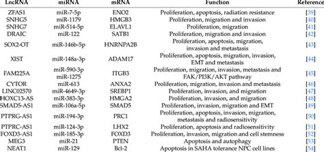 CeRNA Networks Of LncRNA MiRNA MRNA Involved In NPC Proliferation And