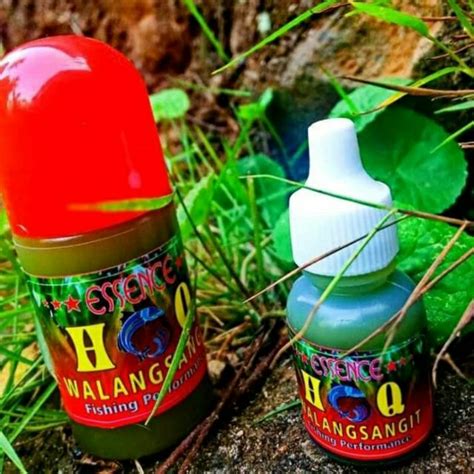 Jual Essen Walang Sangit Asli Merk HQ Isi 10 Ml Shopee Indonesia