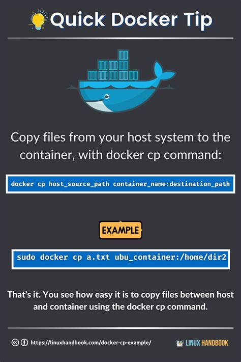 Quick Docker Tip Copy Files Between Host And Docker Container