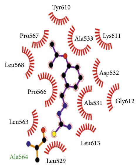 Binding Mode Of DNA Gyrase B With The Benzaldehyde Thiosemicarbazone