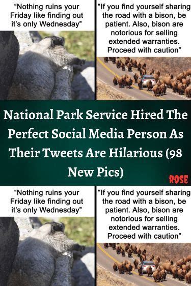 National Park Service Hired The Perfect Social Media Person As Their