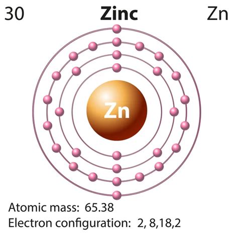 Symbol And Electron Diagram For Zinc Stock Vector Image By