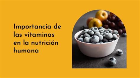 Importancia De Las Vitaminas En La Nutrici N Humana