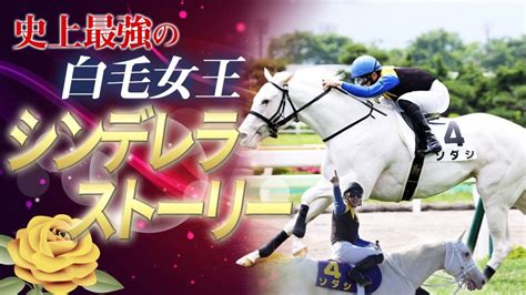 【無敗の白毛女王】ソダシの物語【競馬】（ハイライト・全レース）白毛・オークス・桜花賞・金子真人・吉田隼人・白毛一族・ブチコ News