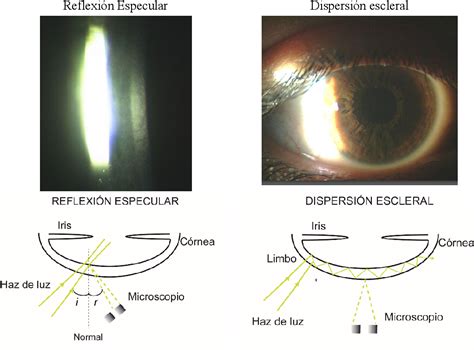 Figure 1 from Mejora en la interpretación de las imágenes