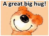 Big Bear Hug GIFs | Tenor