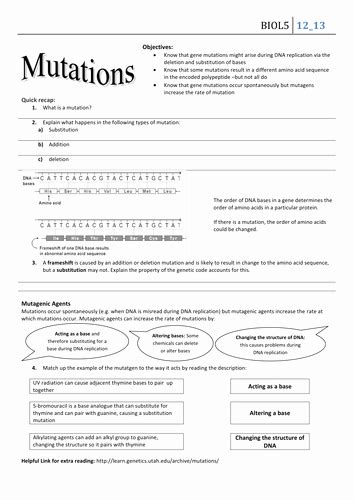 50 Gene And Chromosome Mutation Worksheet