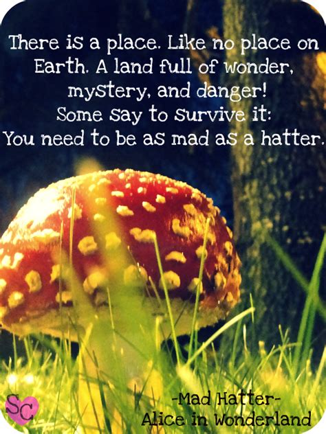 mad hatter quotes  time quotesgram