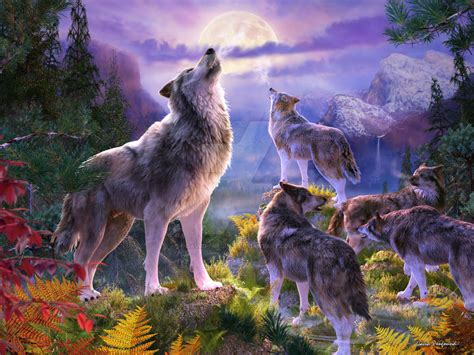 Wolf Pack Picture Landscape by DavidPenfound on DeviantArt