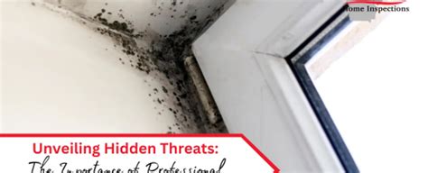 Unveiling Hidden Threats The Importance Of Professional Mold