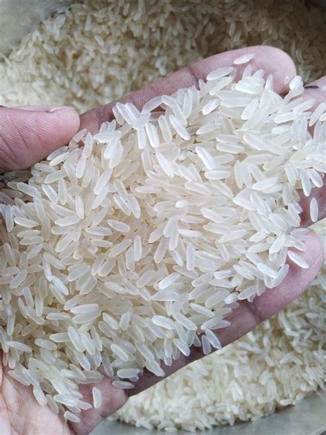 Private Label Non Basmati Ir 64 Parboiled Rice Packaging Type PP Bag