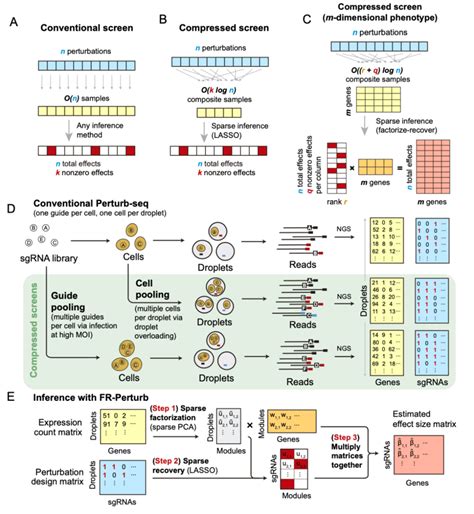 Framework For Compressed Perturb Seq A Schematic For Conventional