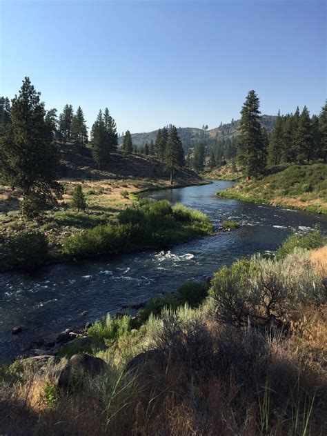 Truckee River Rv Park 24 Photos And 39 Reviews Rv Parks 10068