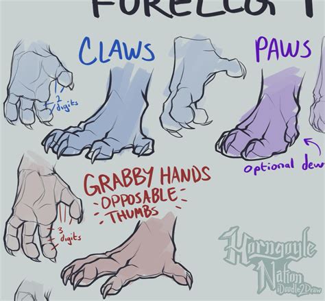 Dragon Feet Drawing Reference