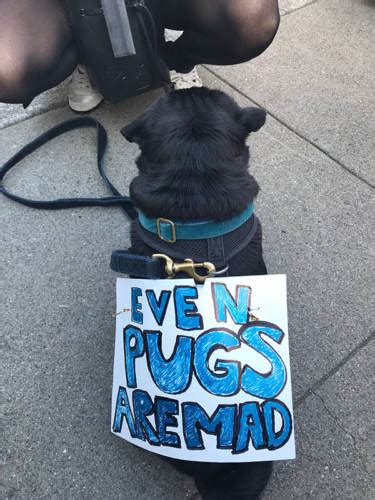 Photos Pussy Hats And Protest Signs Fill Streets At Bay Area Women S Marches Kqed