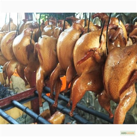 Продам/купить мясо перепела холодного копчения, Одесская обл — Agro-Ukraine