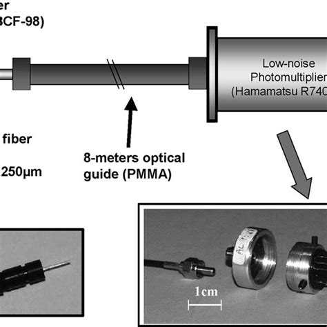 Schematic diagram of the -MicroProbe. | Download Scientific Diagram