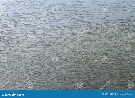 Surface Of Snow Sludge On Water Stock Image Image Of Texture Ocean