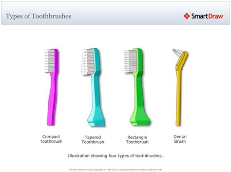 Types Of Toothbrushes