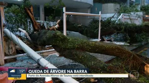 Vídeo Chuva forte provoca queda de árvore na Barra da Tijuca Bom Dia