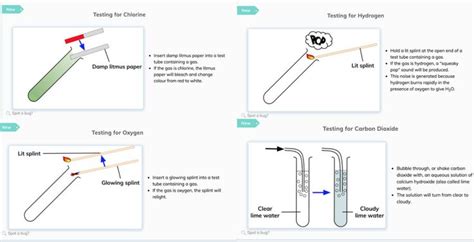 How To Test And Identify Gases Chemistry Gcse Aqa Edexcel Ocr Igcse