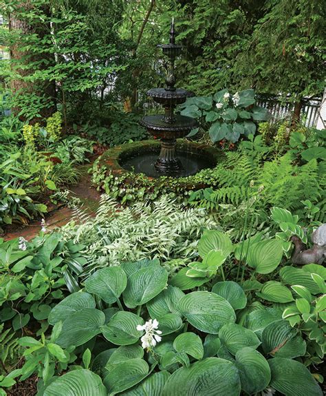 Designing A Tranquil Garden Fine Gardening