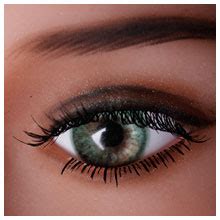 Silicone Real Sex Doll Z One Busty 151cm I Cup Reiko SexySexDoll