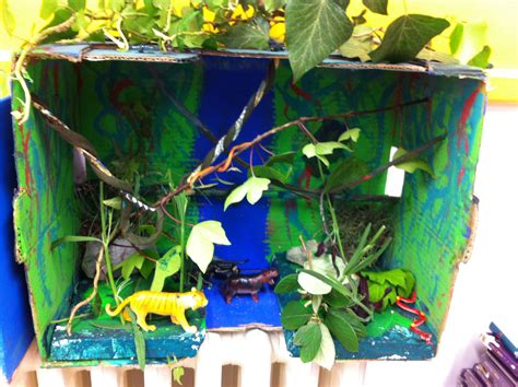 Diorama the jungle School Displays, Diorama, Habitats, Jungle, Country ...