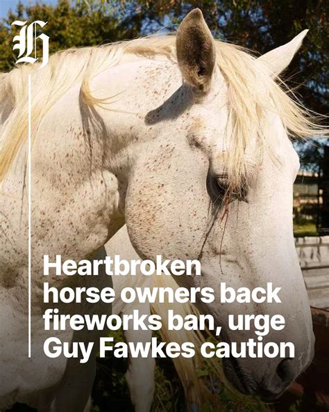 nzherald.co.nz - “I totally get that everyone gets their fun from