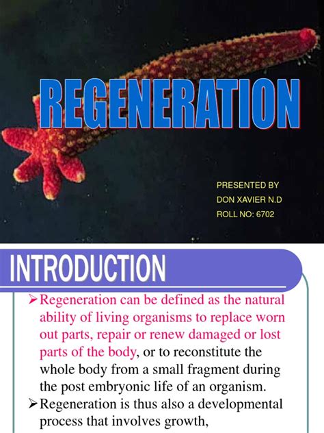 Regeneration Pdf Regeneration Biology Developmental Biology