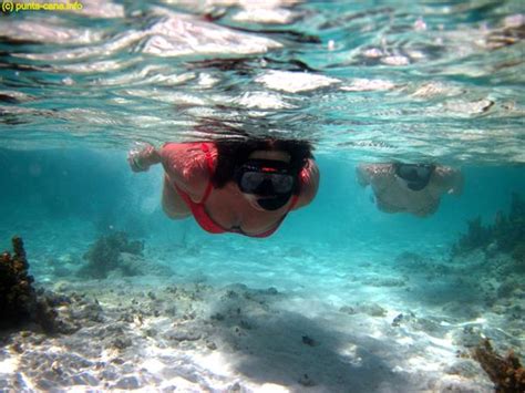 Snorkel Excursions from Punta Cana