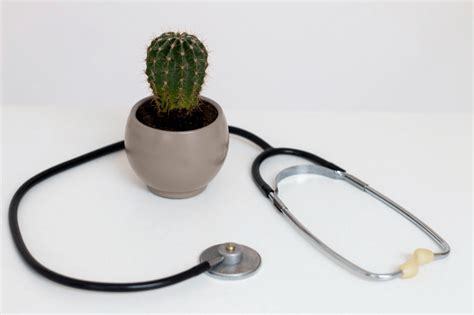 Causes Of Anal Fistula Complete Guide For Prevention Care