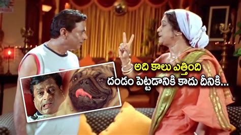 Rama Prabha And M S Narayana Hilarious Comedy Scene Comedy Express