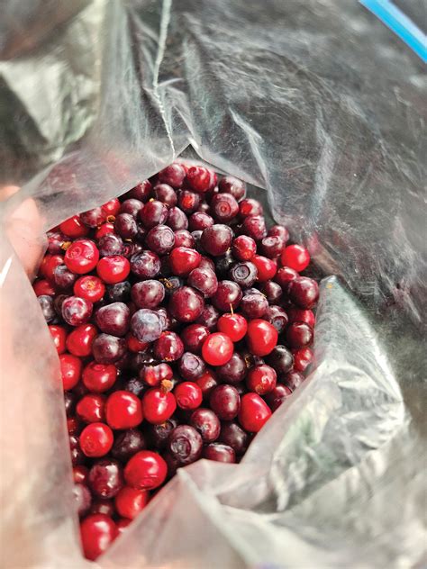 The baker city herald archives hold a surprising discovery 13