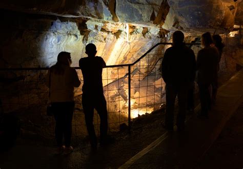 Experience the Aillwee Caves | Great Visitor Experiences